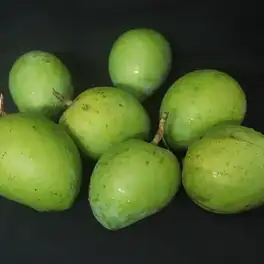 হাড়িভাঙ্গা আম