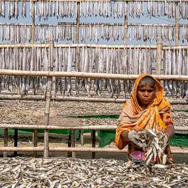 শুঁটকি