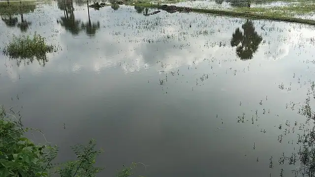 নড়াইল