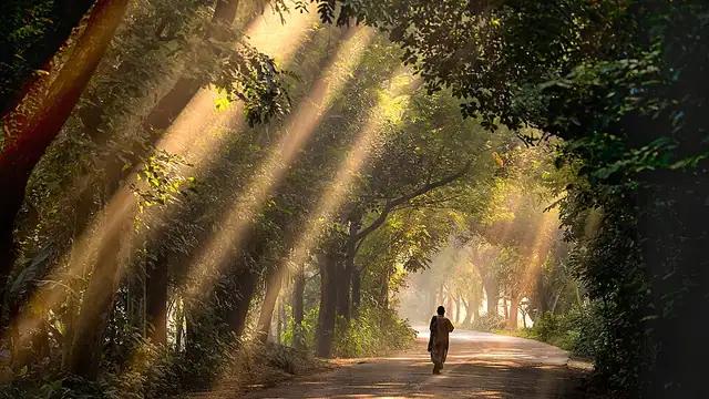 সাতছড়ি