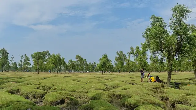 গুলিয়াখালী সমুদ্র সৈকত