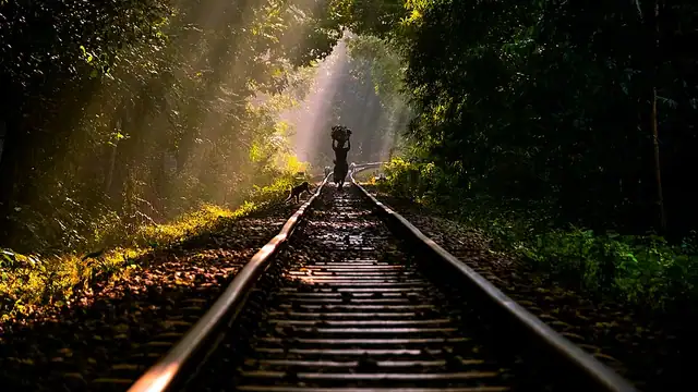 লাউয়াছড়া জাতীয় উদ্যান