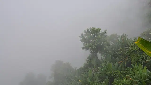 নীলাচল