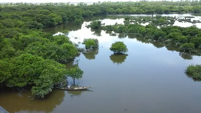 রাতারগুল সোয়াম্প ফরেস্ট