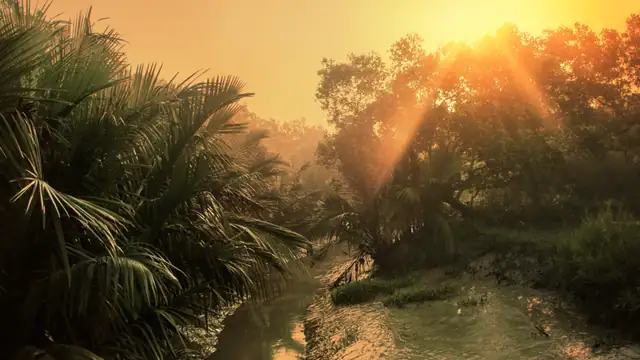 করমজল ইকো-ট্যুরিজম কেন্দ্র